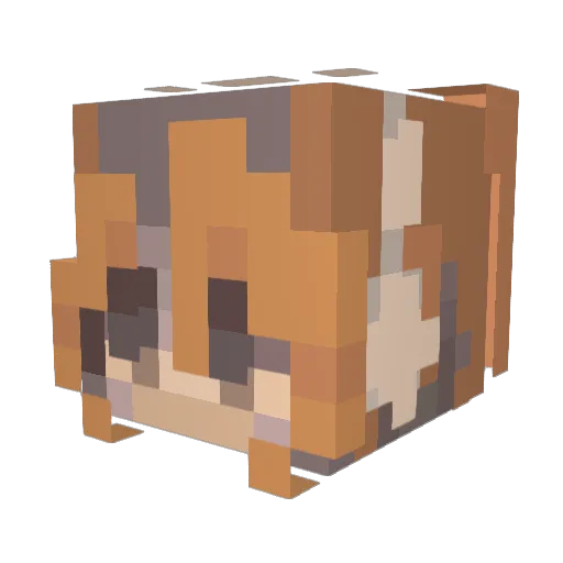 Winner991391 Minecraft avatar head, 3D render