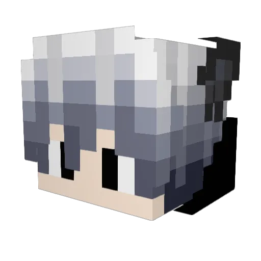 WinnerEzz Minecraft avatar head, 3D render