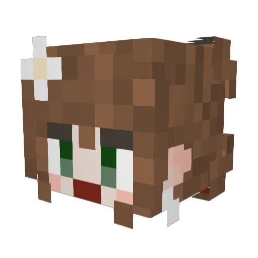 WinnerPirates1 Minecraft avatar head, 3D render
