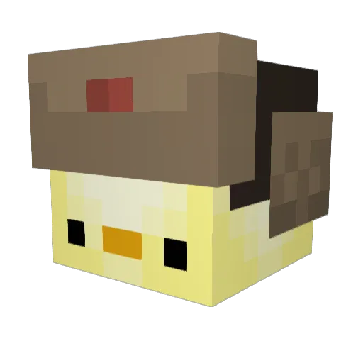 Winner_911 Minecraft avatar head, 3D render