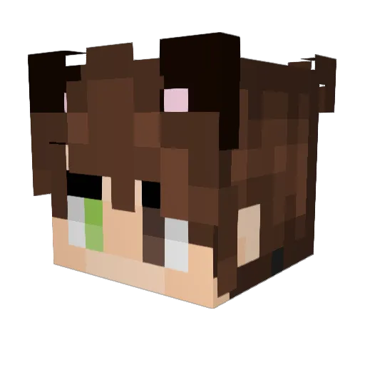 WinnersQueue Minecraft avatar head, 3D render