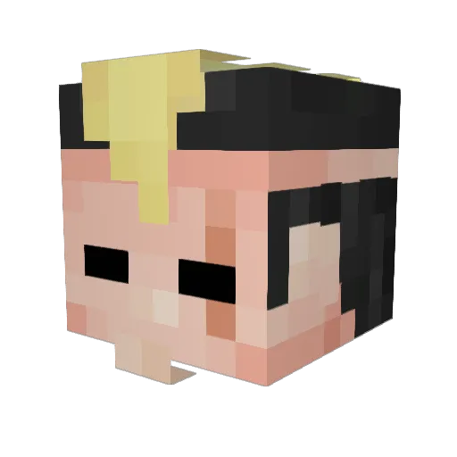 Winnie1368 Minecraft avatar head, 3D render