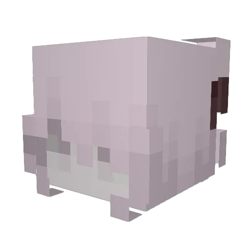 Winnie4411 Minecraft avatar head, 3D render