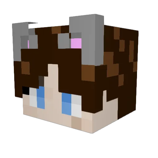 WinnieBeauMC Minecraft avatar head, 3D render