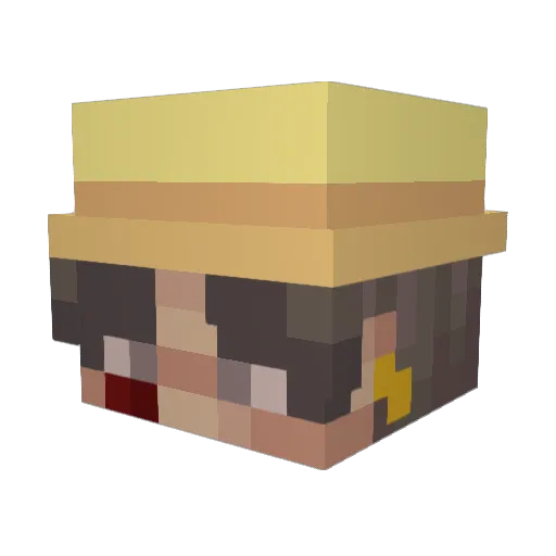 WinnieDuBleD Minecraft avatar head, 3D render