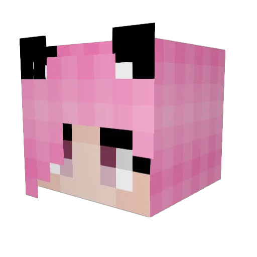 WinnieP16 Minecraft avatar head, 3D render