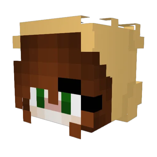 WinnieThePooPoo2 Minecraft avatar head, 3D render