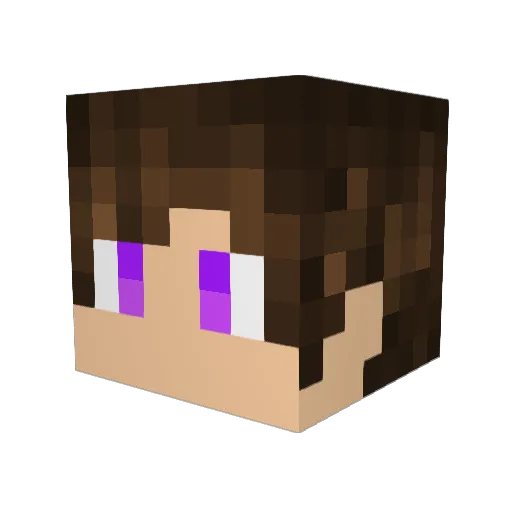 WinnieWillLose87 Minecraft avatar head, 3D render