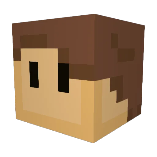 Winnie_319 Minecraft avatar head, 3D render