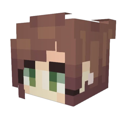 Winnie_ThePooh Minecraft avatar head, 3D render
