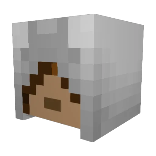 Winniethepusher Minecraft avatar head, 3D render