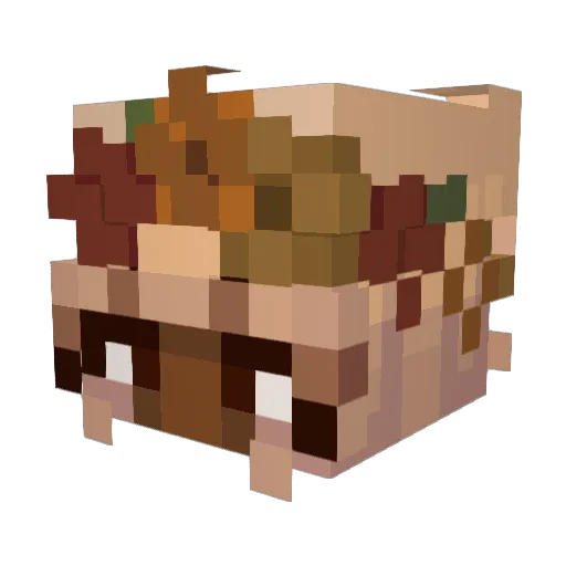 WinningPoet6827 Minecraft avatar head, 3D render