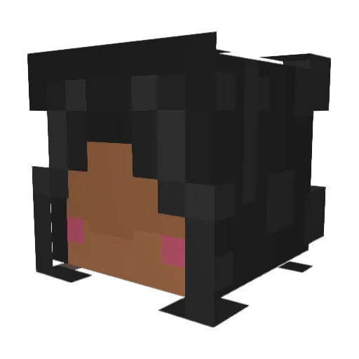 Winnona Minecraft avatar head, 3D render