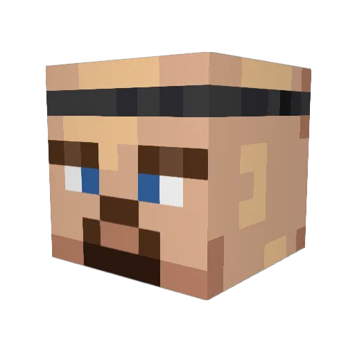 Winnr Minecraft avatar head, 3D render