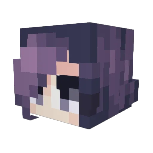 Winnuko Minecraft avatar head, 3D render