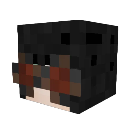 WinnyThePooh294 Minecraft avatar head, 3D render