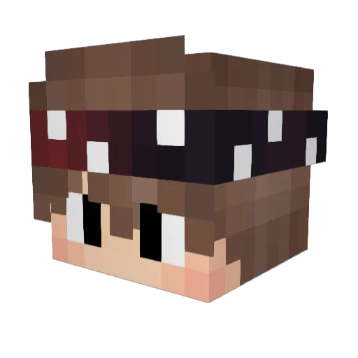 Winnys Minecraft avatar head, 3D render