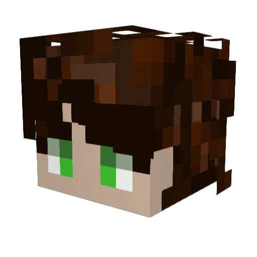 Winoblio Minecraft avatar head, 3D render