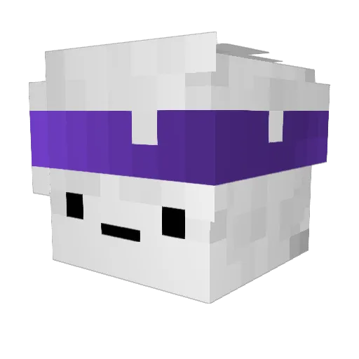 Winolulz Minecraft avatar head, 3D render