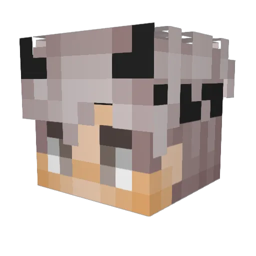 Winoolf Minecraft avatar head, 3D render