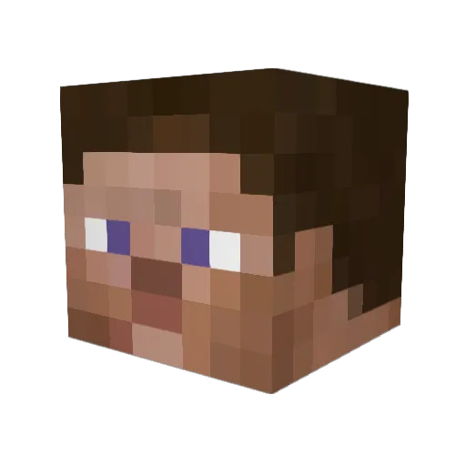 Winpenny Minecraft avatar head, 3D render