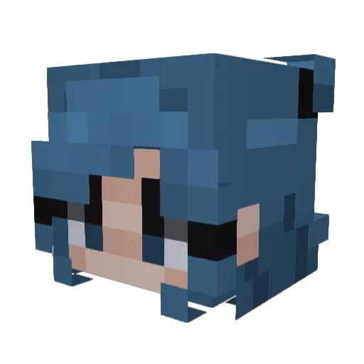 Winquin Minecraft avatar head, 3D render