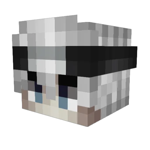 Winroux Minecraft avatar head, 3D render