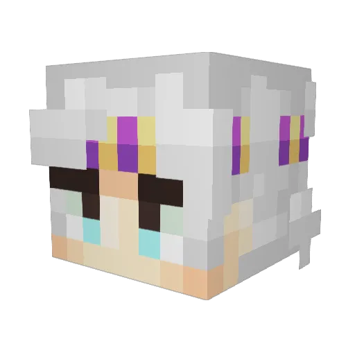 Wins_00 Minecraft avatar head, 3D render