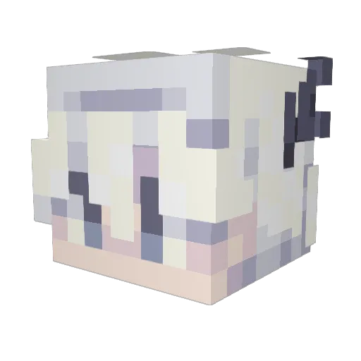 Winsonle Minecraft avatar head, 3D render
