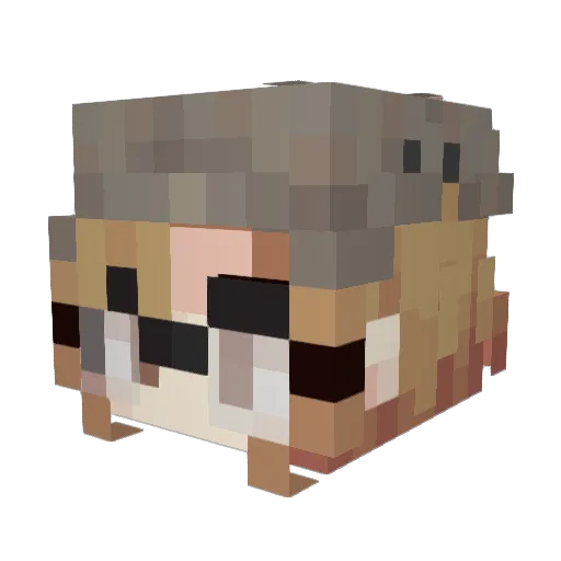 Winss Minecraft avatar head, 3D render