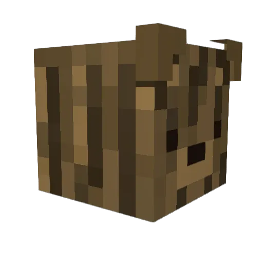 Winston514 Minecraft avatar head, 3D render