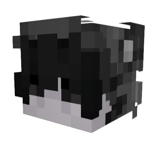 WinstreakGay1 Minecraft avatar head, 3D render