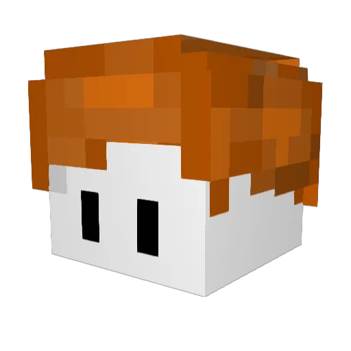 Wintap Minecraft avatar head, 3D render