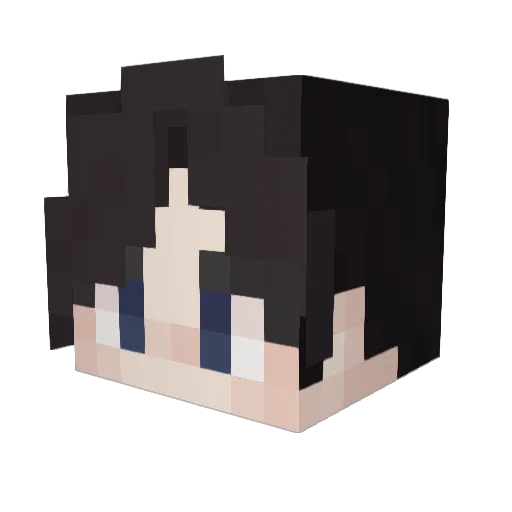 Winter0321 Minecraft avatar head, 3D render