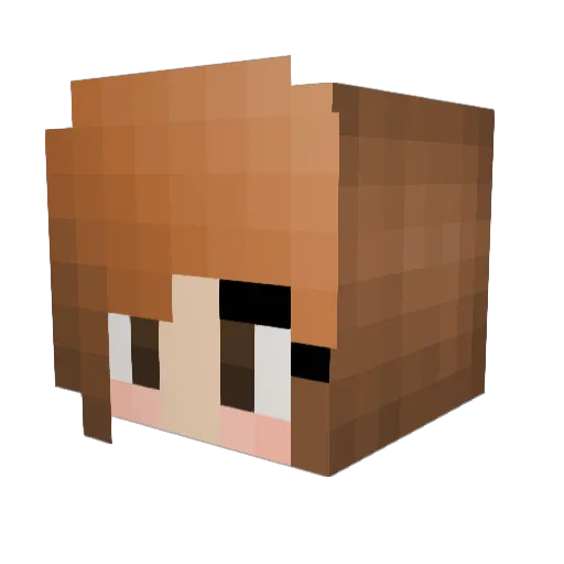 Winter1118 Minecraft avatar head, 3D render