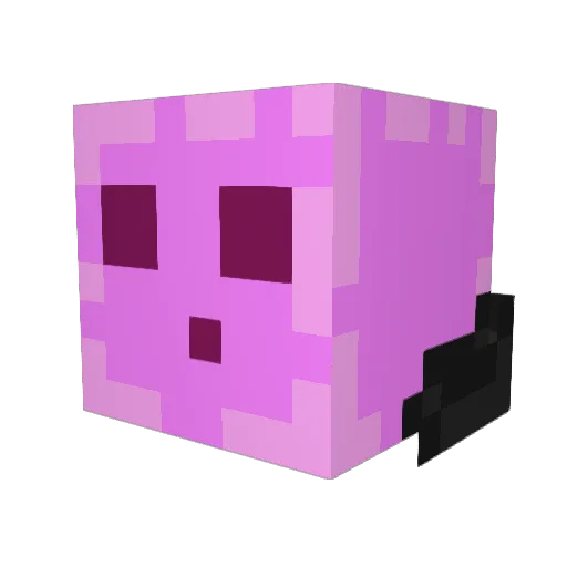 Winter11708 Minecraft avatar head, 3D render