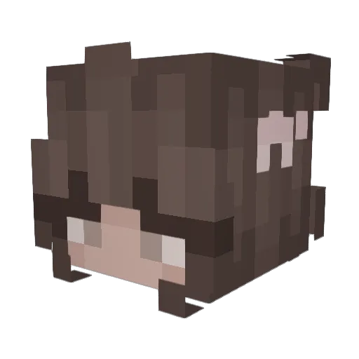 Winter117 Minecraft avatar head, 3D render