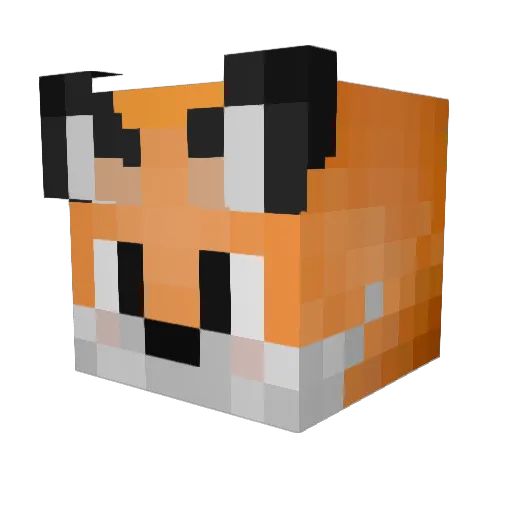Winter817 Minecraft avatar head, 3D render
