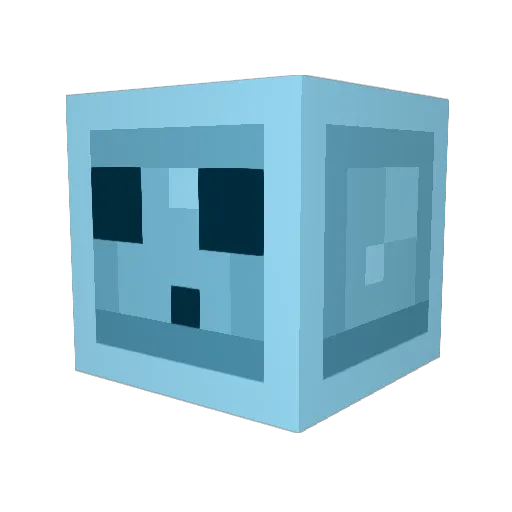 Winter859 Minecraft avatar head, 3D render