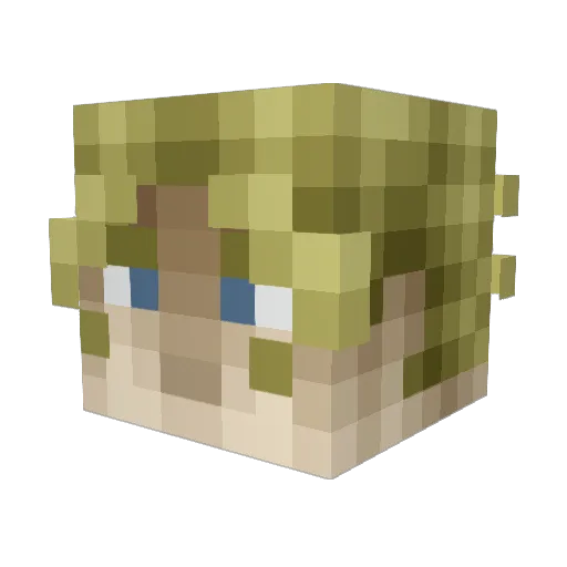 WinterActual Minecraft avatar head, 3D render
