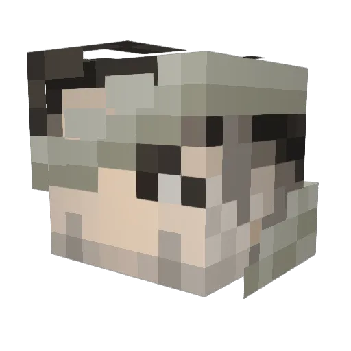 WinterAxel Minecraft avatar head, 3D render
