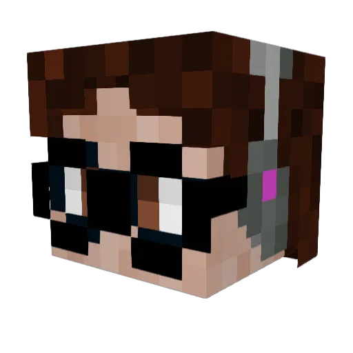 WinterBarnes Minecraft avatar head, 3D render