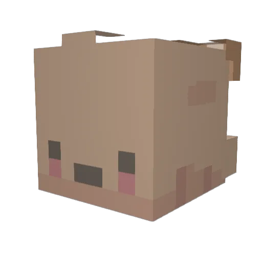 WinterBike35192 Minecraft avatar head, 3D render