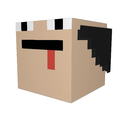 WinterDig255411 Minecraft avatar head, 3D render