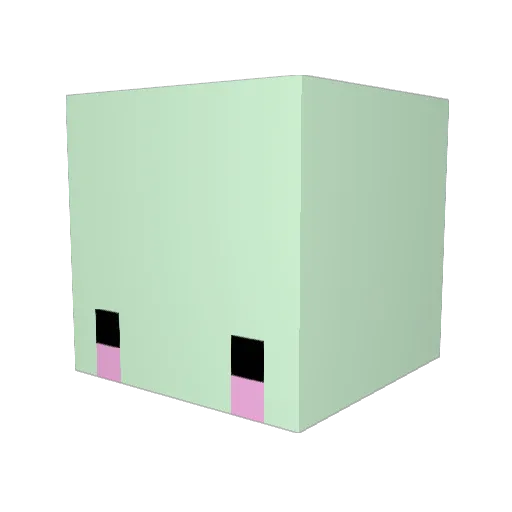 WinterFlop Minecraft avatar head, 3D render