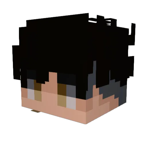 WinterFun15 Minecraft avatar head, 3D render