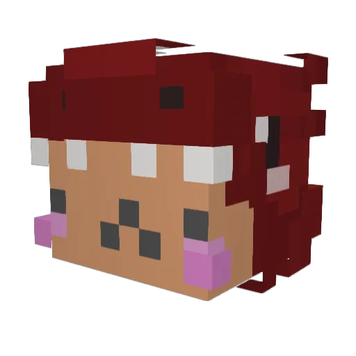 WinterGamer Minecraft avatar head, 3D render