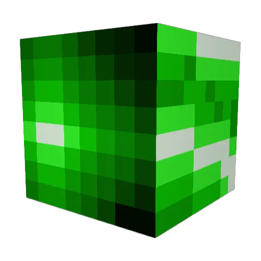 WinterGeist9526 Minecraft avatar head, 3D render