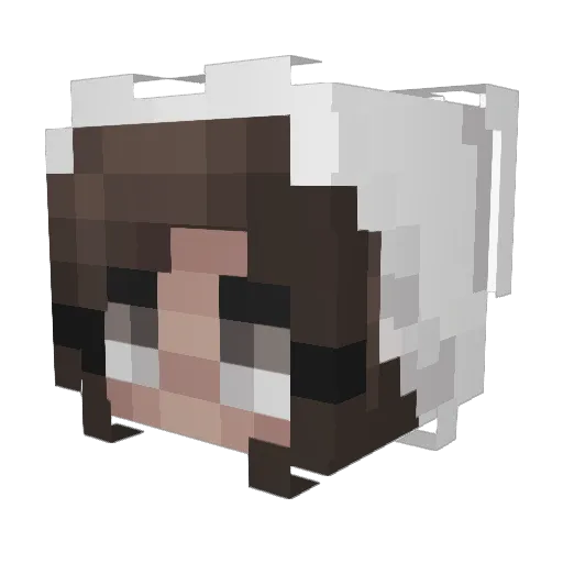 WinterGems Minecraft avatar head, 3D render