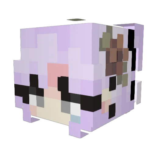 WinterLover2001 Minecraft avatar head, 3D render